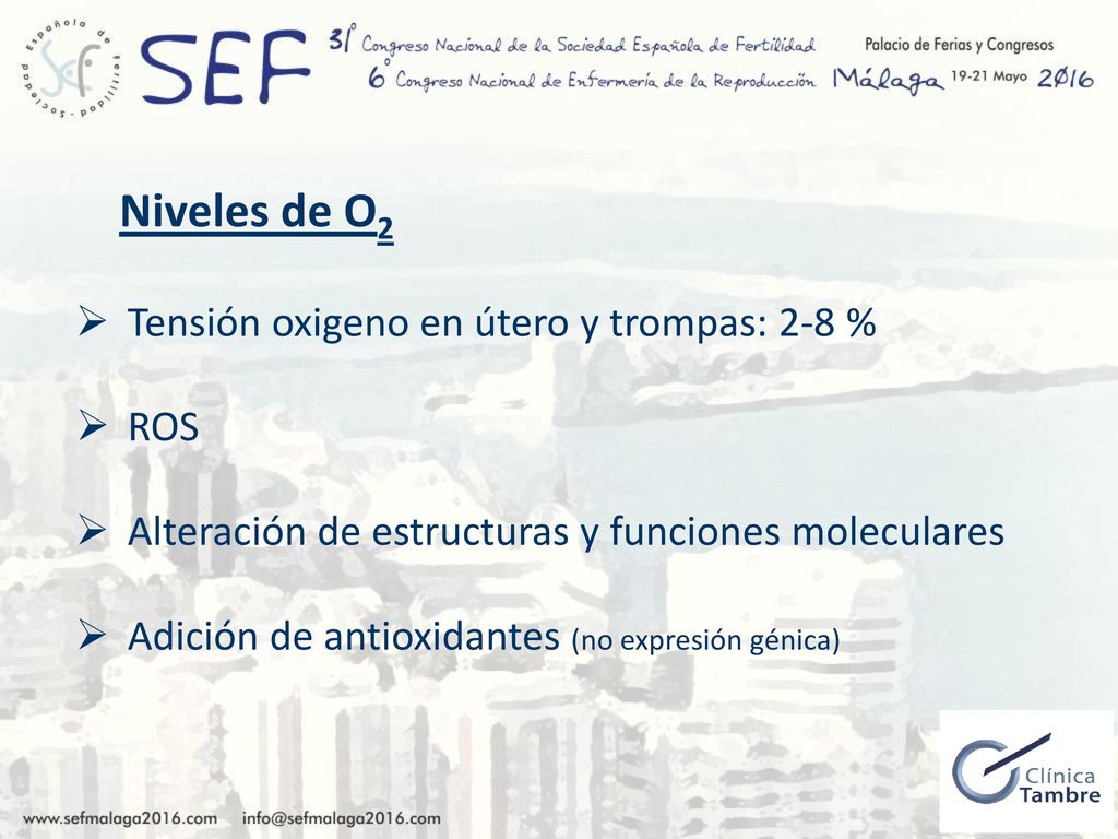Niveles de O2 Tensión oxigeno en útero y trompas: 2-8 % ROS
