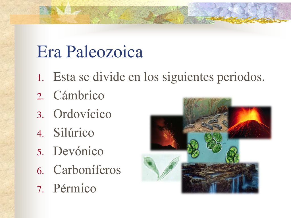 Era Paleozoica Esta se divide en los siguientes periodos. Cámbrico
