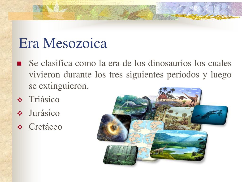 Era Mesozoica Se clasifica como la era de los dinosaurios los cuales vivieron durante los tres siguientes periodos y luego se extinguieron.