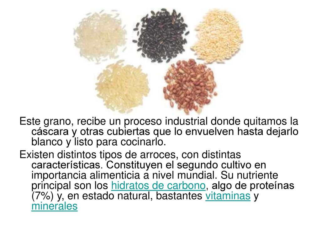 Este grano, recibe un proceso industrial donde quitamos la cáscara y otras cubiertas que lo envuelven hasta dejarlo blanco y listo para cocinarlo.
