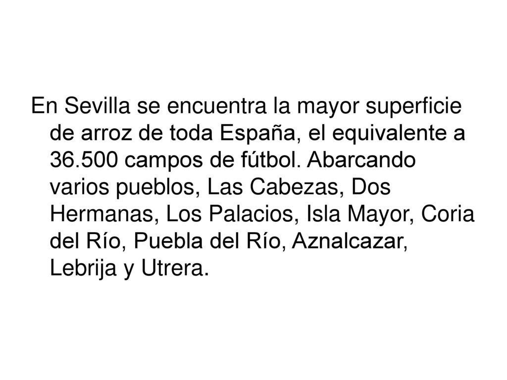 En Sevilla se encuentra la mayor superficie de arroz de toda España, el equivalente a campos de fútbol.