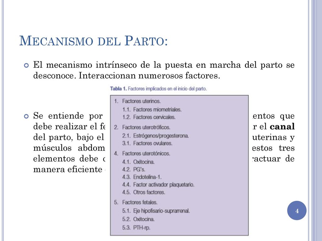 Mecanismo del Parto: El mecanismo intrínseco de la puesta en marcha del parto se desconoce. Interaccionan numerosos factores.