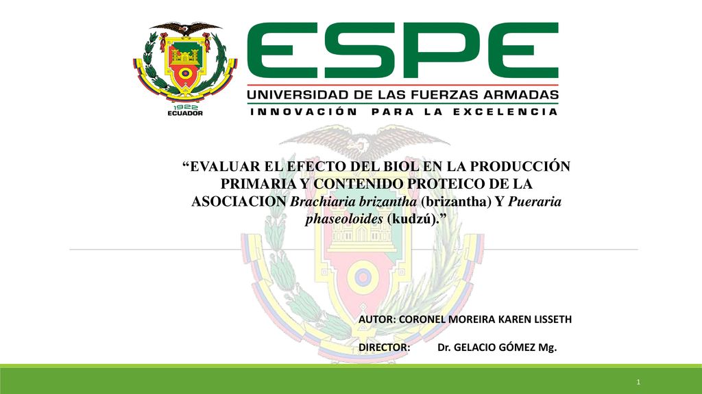 EVALUAR EL EFECTO DEL BIOL EN LA PRODUCCIÓN PRIMARIA Y CONTENIDO PROTEICO DE LA ASOCIACION Brachiaria brizantha (brizantha) Y Pueraria phaseoloides (kudzú).