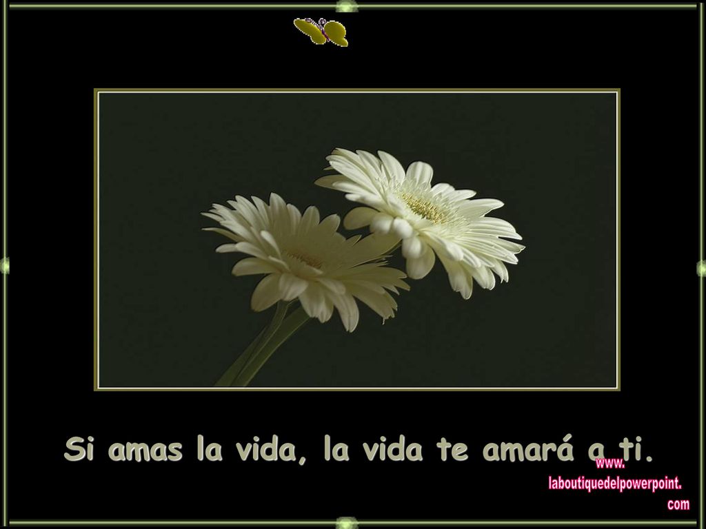 Si amas la vida, la vida te amará a ti.