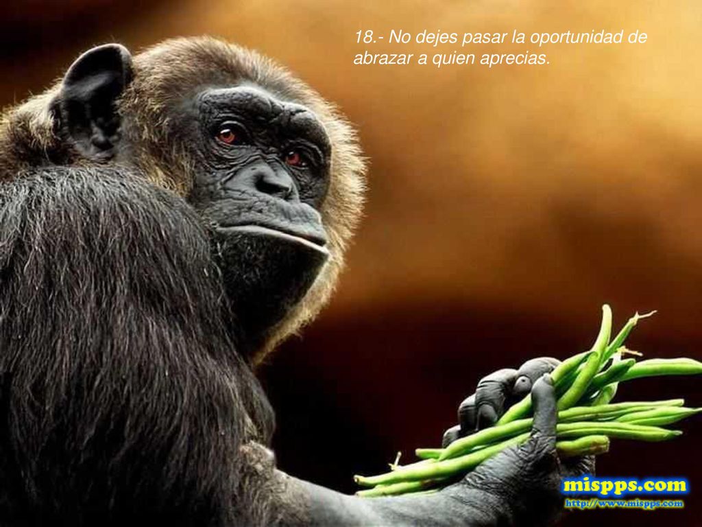 18.- No dejes pasar la oportunidad de abrazar a quien aprecias.