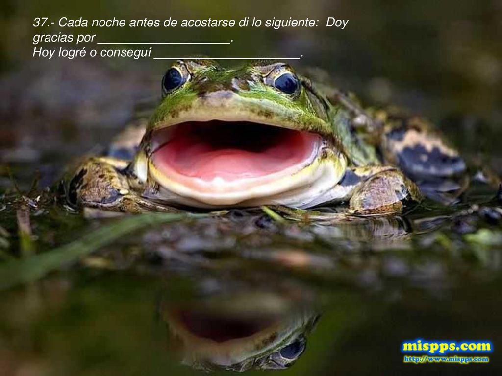 37.- Cada noche antes de acostarse di lo siguiente: Doy gracias por ___________________.