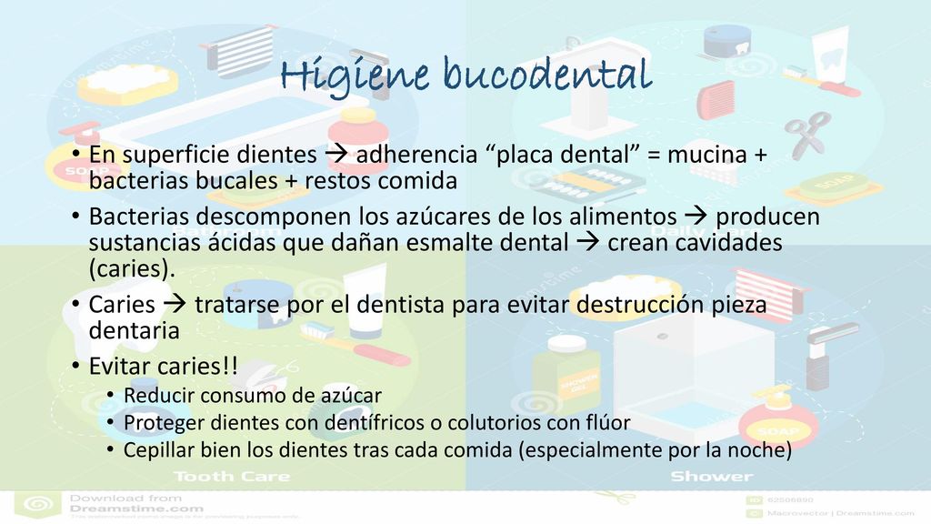 Higiene bucodental En superficie dientes  adherencia placa dental = mucina + bacterias bucales + restos comida.