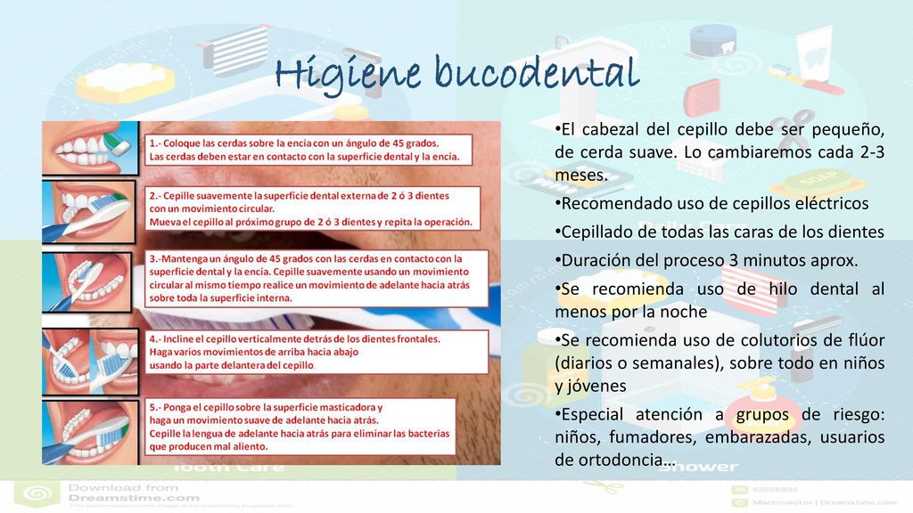 Higiene bucodental El cabezal del cepillo debe ser pequeño, de cerda suave. Lo cambiaremos cada 2-3 meses.
