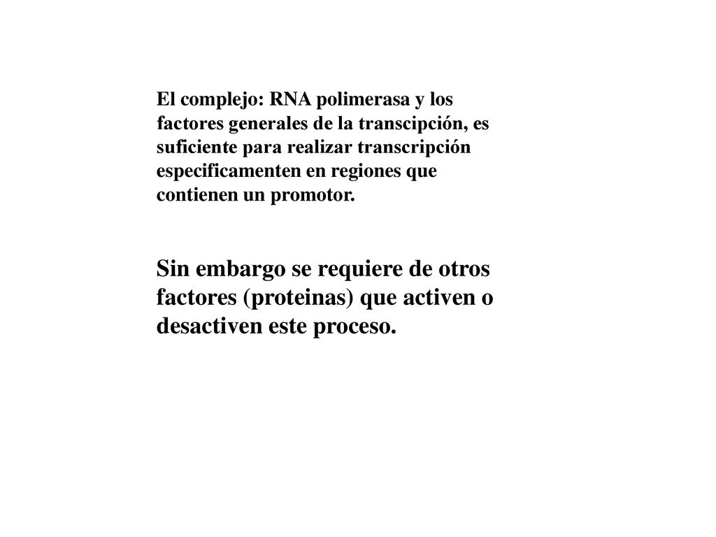 El complejo: RNA polimerasa y los factores generales de la transcipción, es suficiente para realizar transcripción especificamenten en regiones que contienen un promotor.