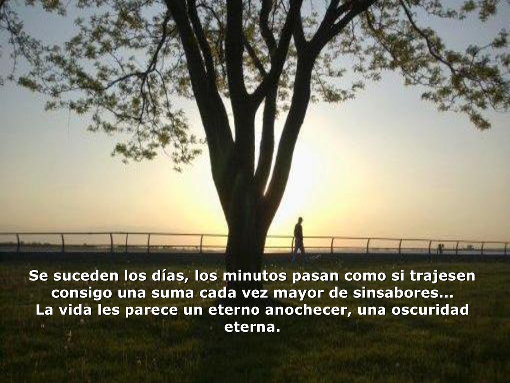 La vida les parece un eterno anochecer, una oscuridad eterna.