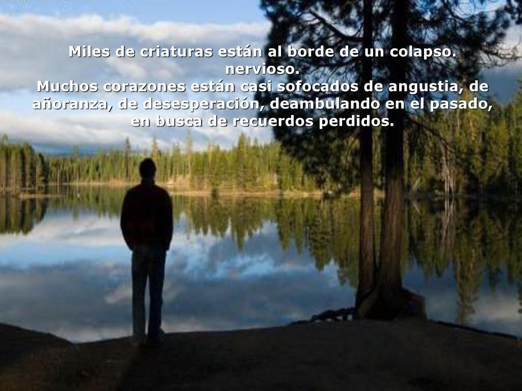 Miles de criaturas están al borde de un colapso. nervioso.