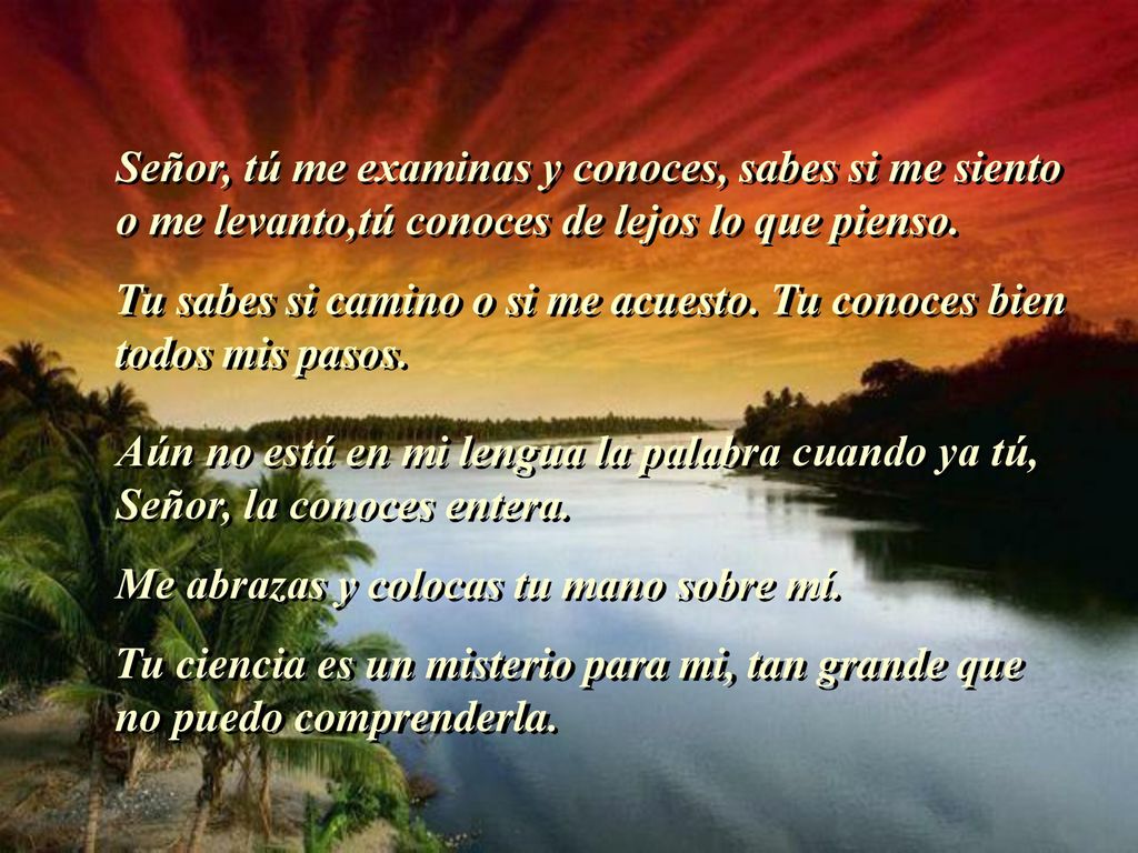 Señor, tú me examinas y conoces, sabes si me siento o me levanto,tú conoces de lejos lo que pienso.
