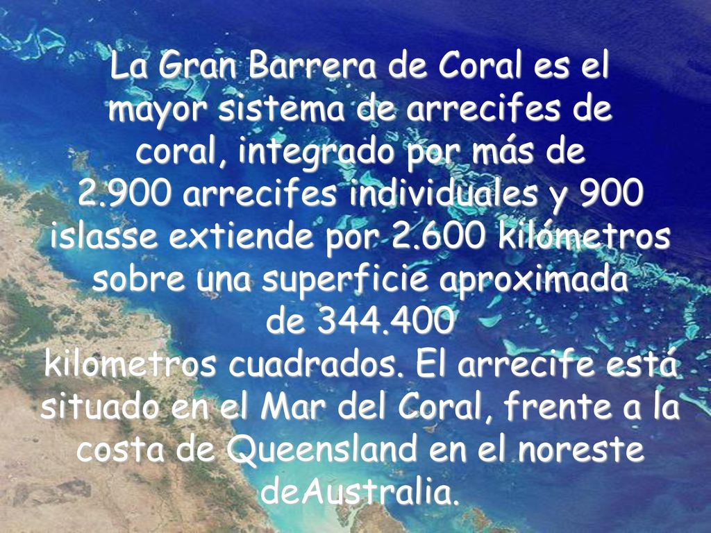 La Gran Barrera de Coral es el mayor sistema de arrecifes de coral, integrado por más de arrecifes individuales y 900 islasse extiende por kilómetros sobre una superficie aproximada de kilometros cuadrados. El arrecife está situado en el Mar del Coral, frente a la costa de Queensland en el noreste deAustralia.
