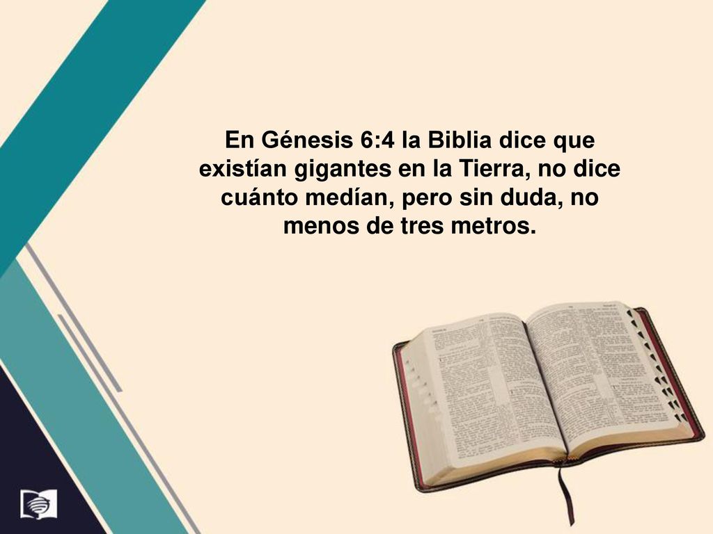 En Génesis 6:4 la Biblia dice que existían gigantes en la Tierra, no dice cuánto medían, pero sin duda, no menos de tres metros.