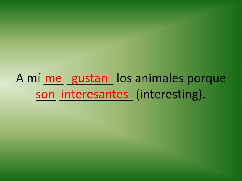A mí ___ _______ los animales porque ___ ___________ (interesting).