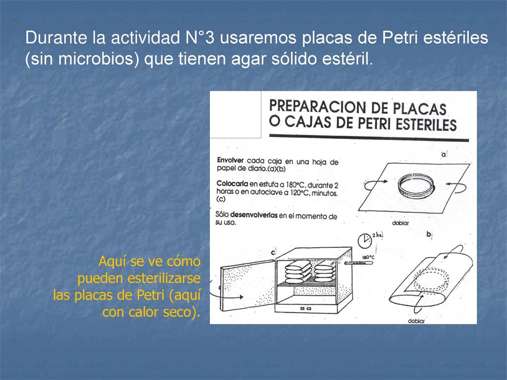 Durante la actividad N°3 usaremos placas de Petri estériles (sin microbios) que tienen agar sólido estéril.