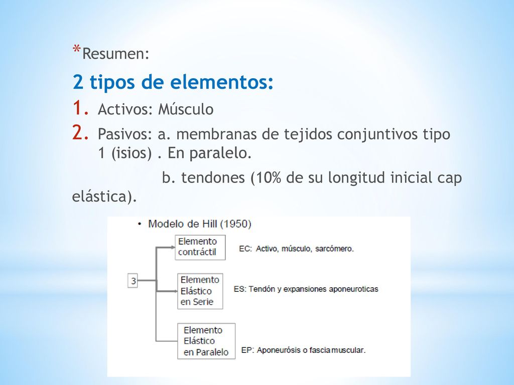 2 tipos de elementos: Resumen: Activos: Músculo