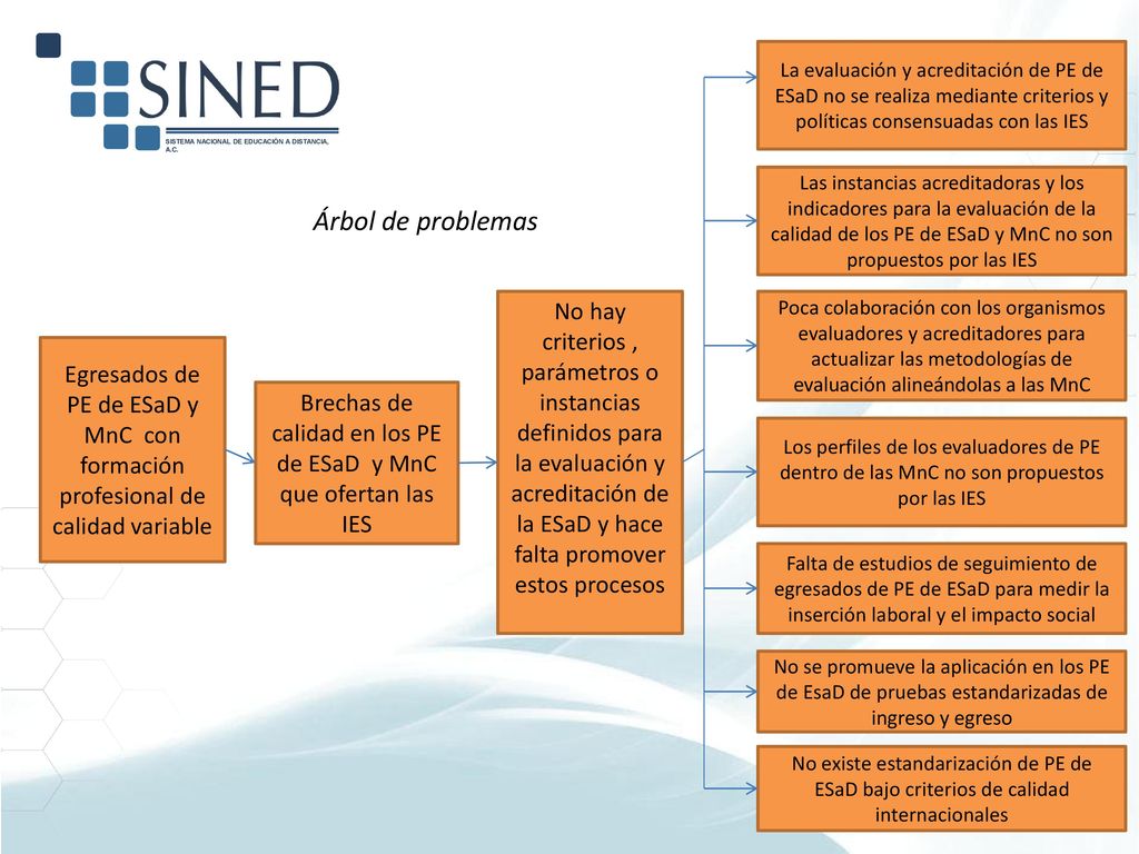 Brechas de calidad en los PE de ESaD y MnC que ofertan las IES
