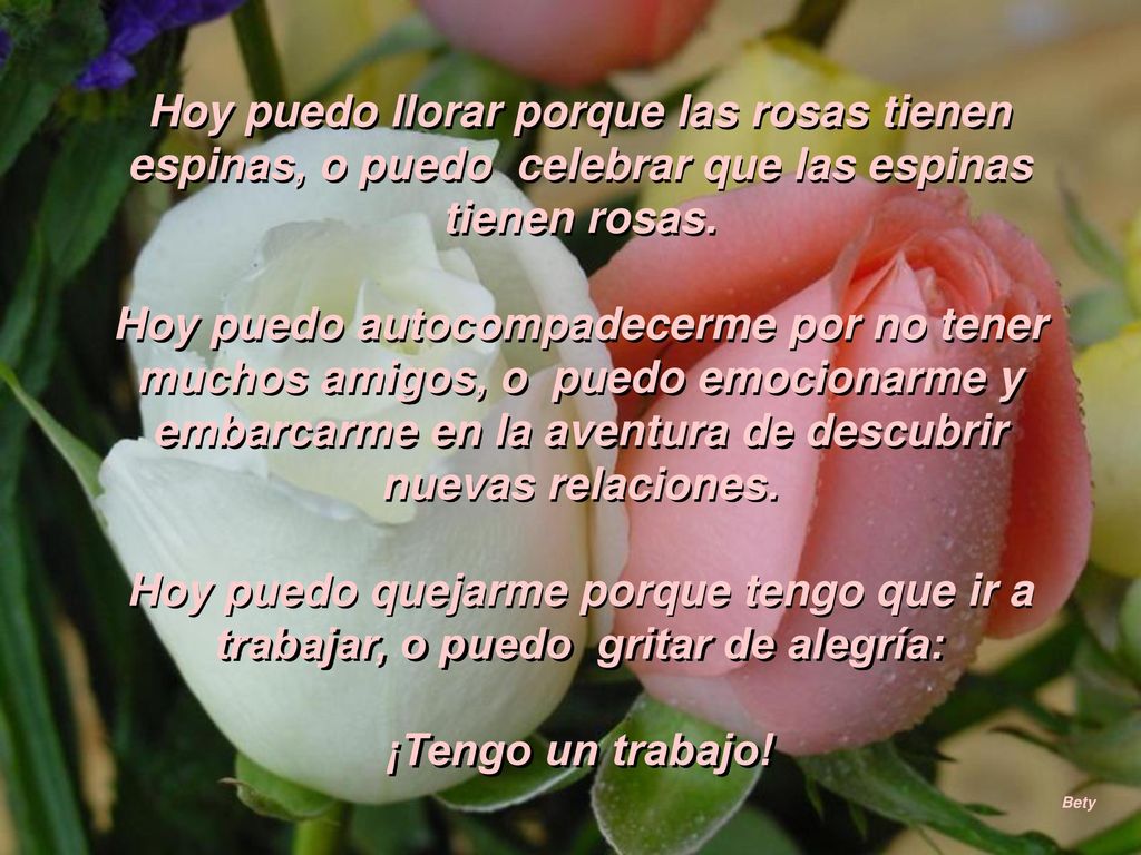 Hoy puedo llorar porque las rosas tienen espinas, o puedo celebrar que las espinas tienen rosas.