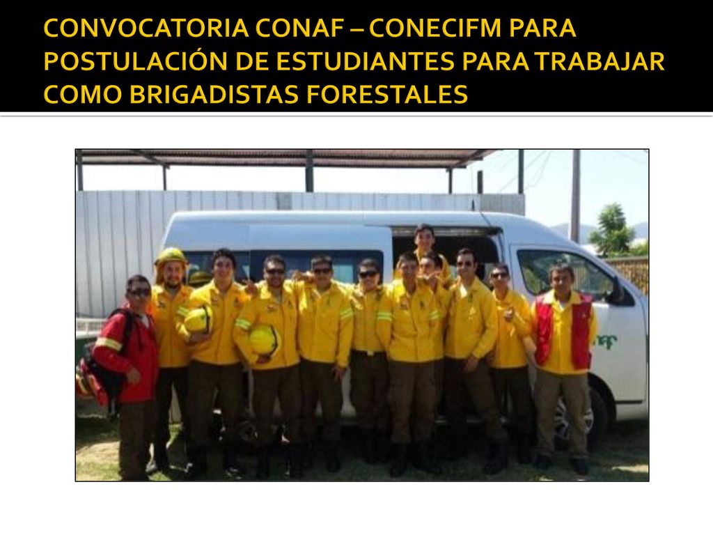 CONVOCATORIA CONAF – CONECIFM PARA POSTULACIÓN DE ESTUDIANTES PARA TRABAJAR COMO BRIGADISTAS FORESTALES