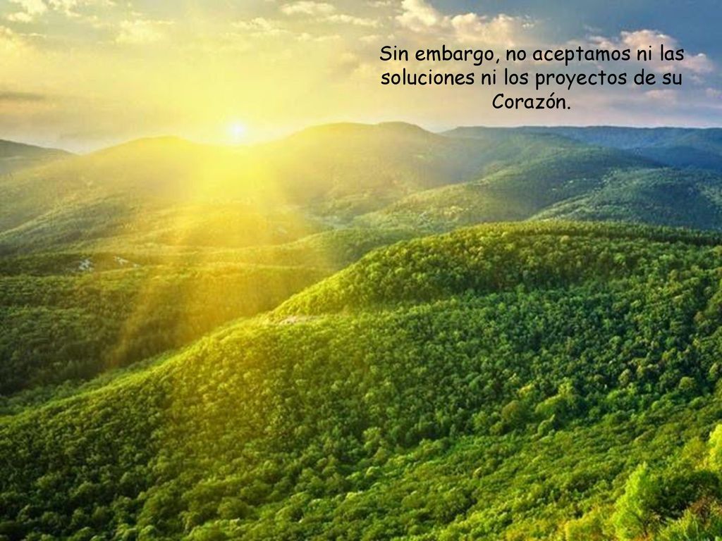 Sin embargo, no aceptamos ni las soluciones ni los proyectos de su Corazón.