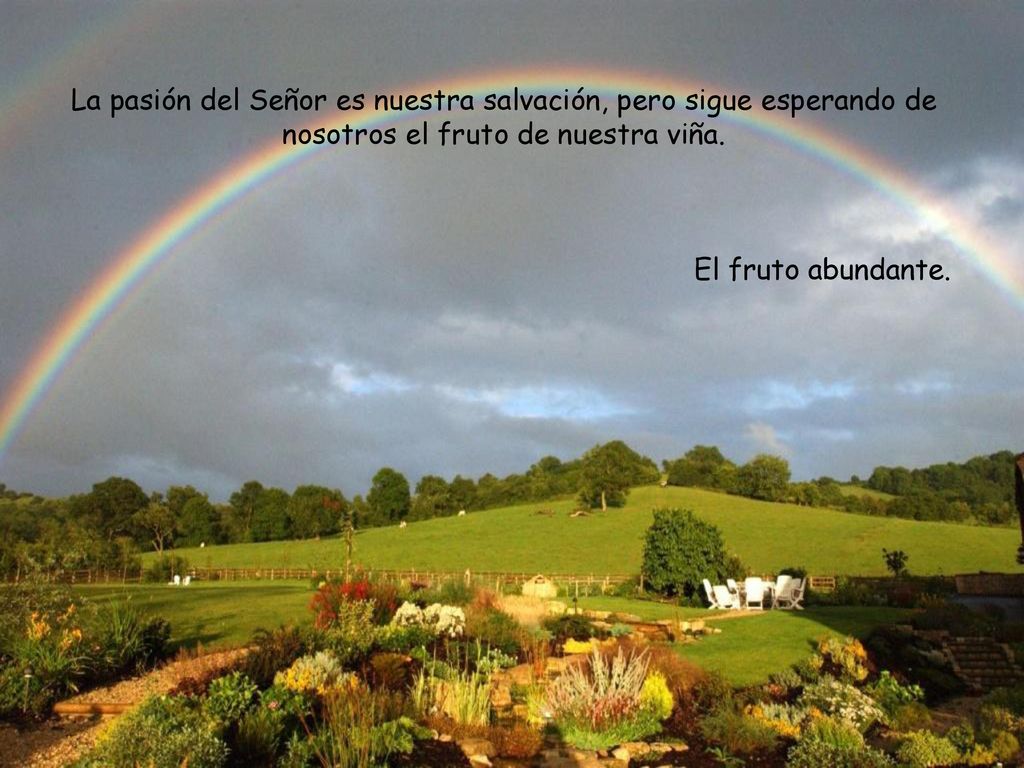 La pasión del Señor es nuestra salvación, pero sigue esperando de nosotros el fruto de nuestra viña.