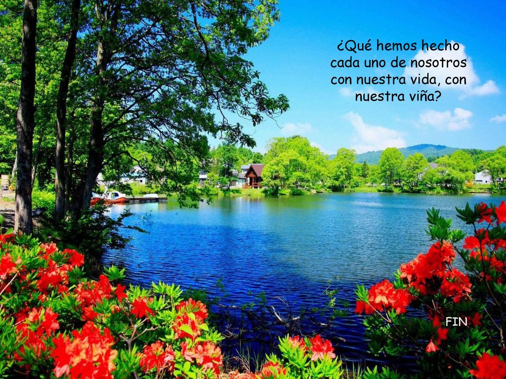 ¿Qué hemos hecho cada uno de nosotros con nuestra vida, con nuestra viña