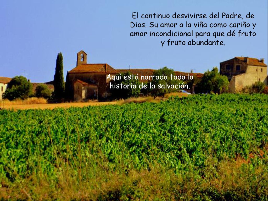 Aquí está narrada toda la historia de la salvación.