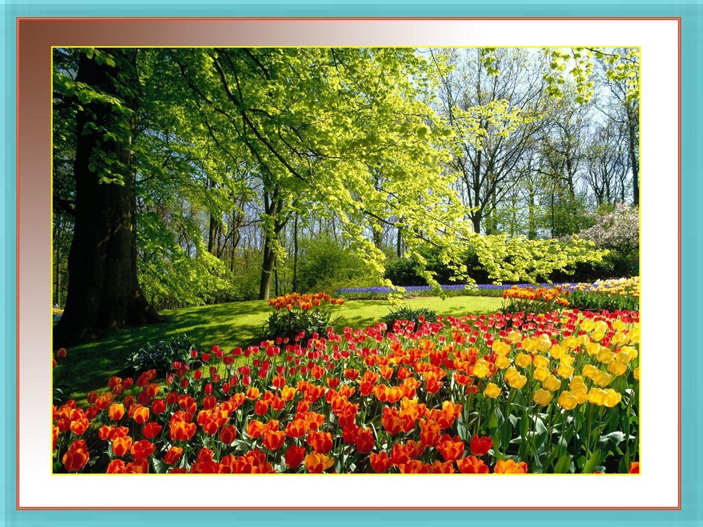 En aquella temprana primavera, cuando la brisa del Sur despertó los corazones, Jesús de Nazaret floreciendo en lo maravilloso, dijo a los hombres: