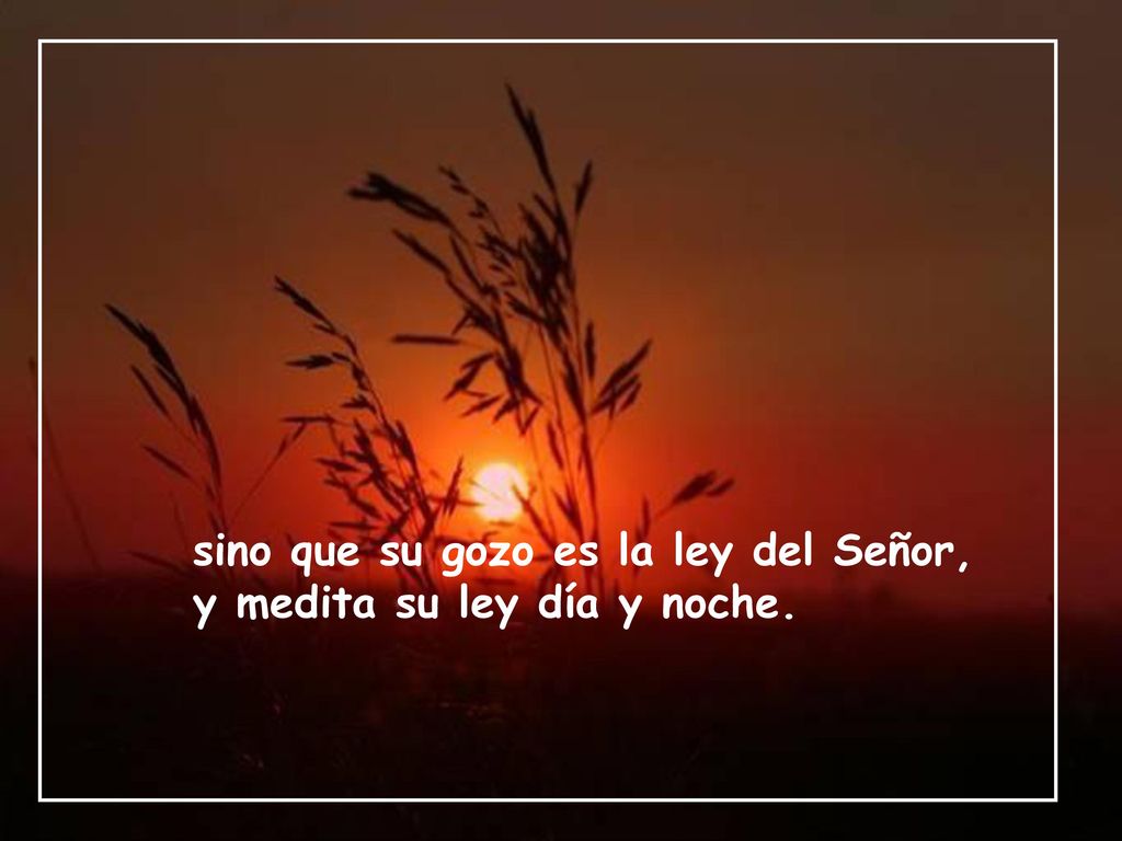 sino que su gozo es la ley del Señor,