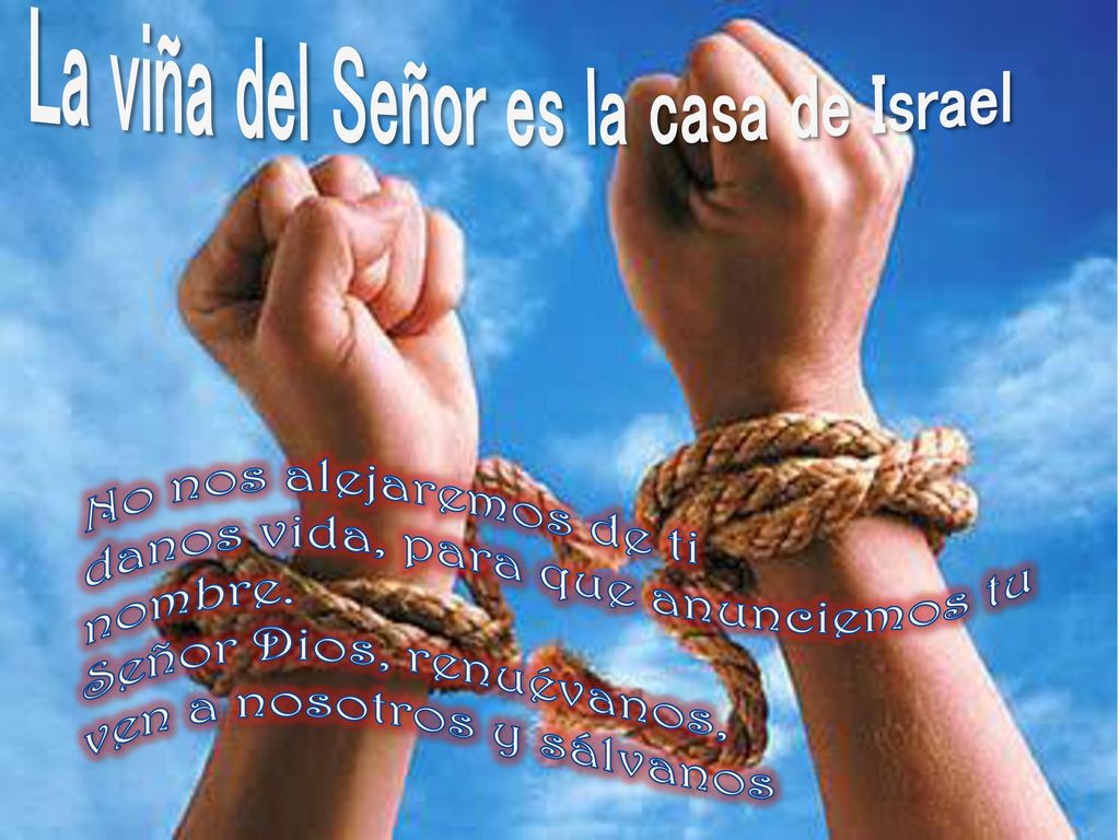 La viña del Señor es la casa de Israel