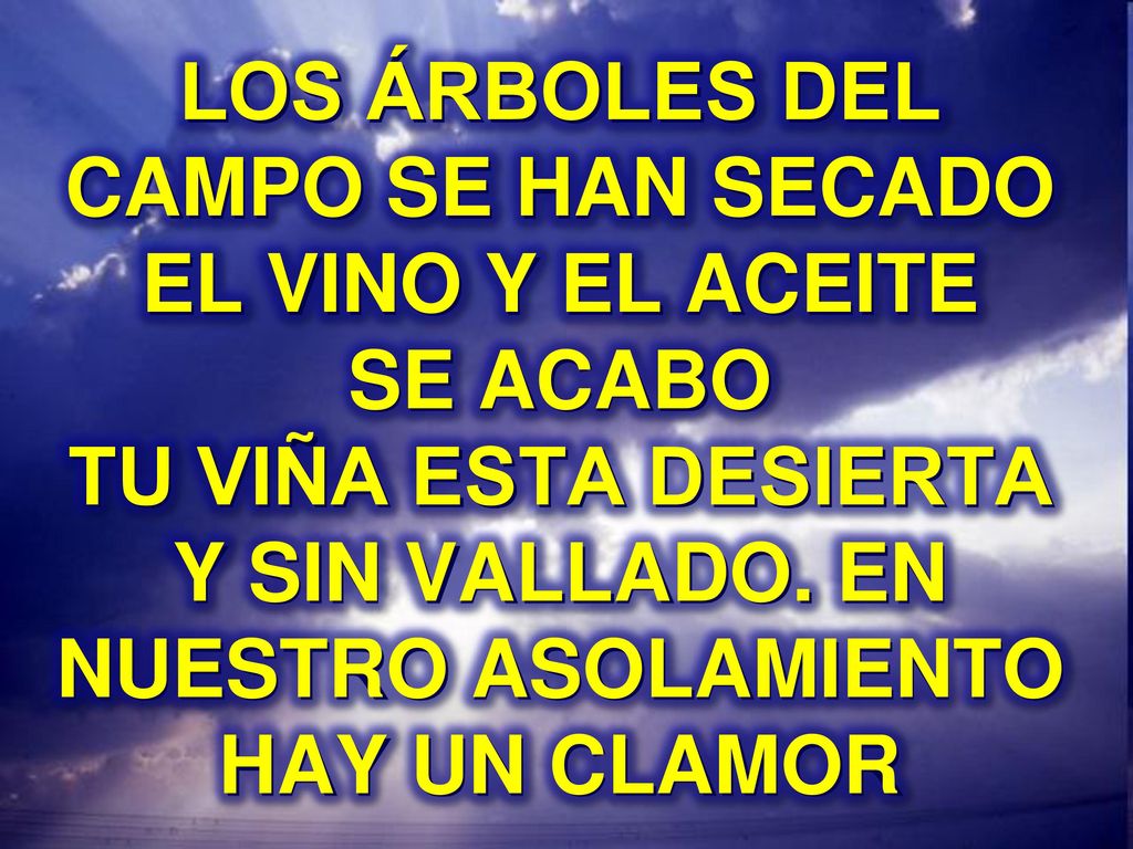 LOS ÁRBOLES DEL CAMPO SE HAN SECADO EL VINO Y EL ACEITE SE ACABO TU VIÑA ESTA DESIERTA Y SIN VALLADO.