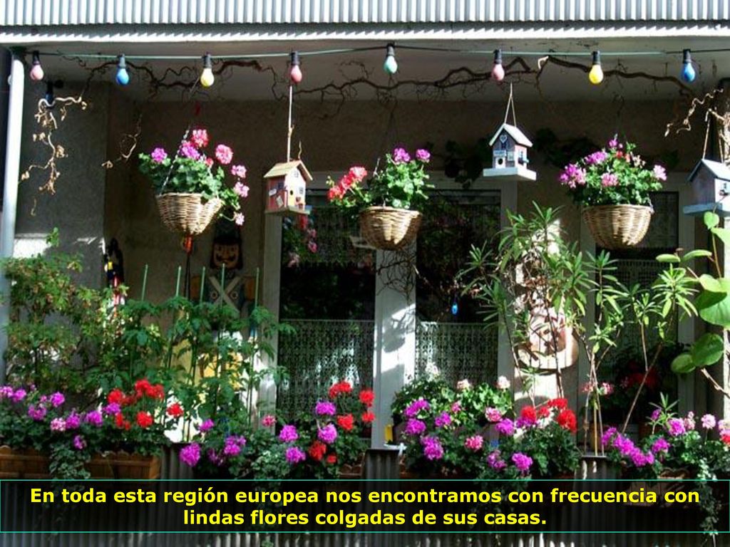 En toda esta región europea nos encontramos con frecuencia con lindas flores colgadas de sus casas.