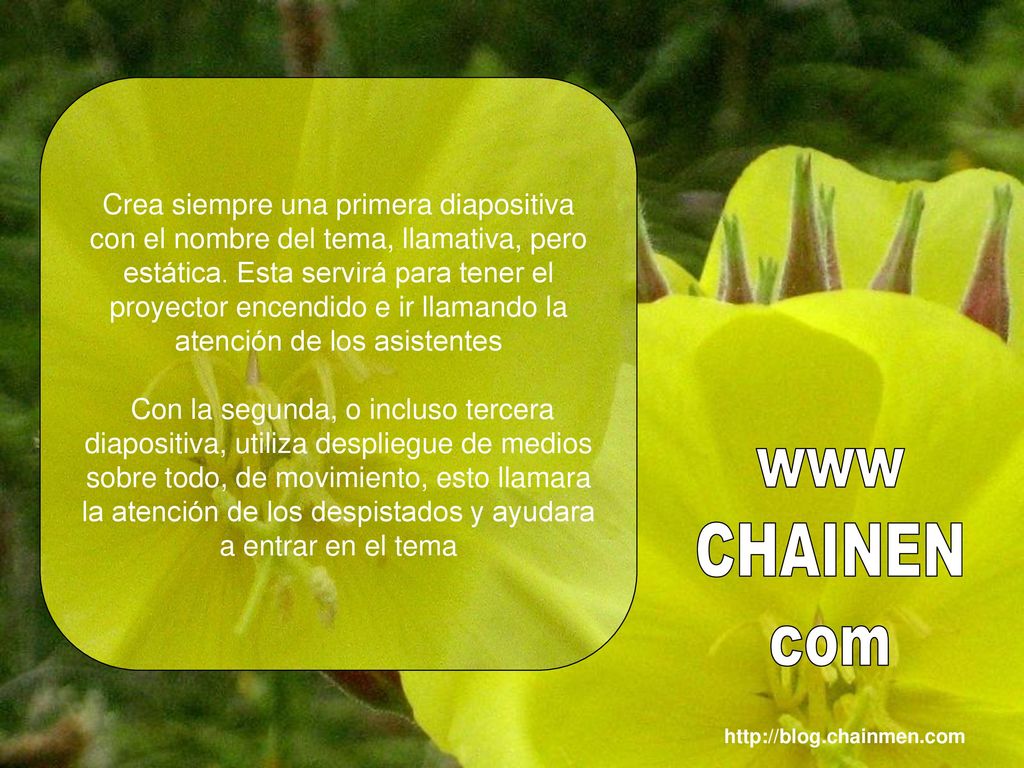 Crea siempre una primera diapositiva con el nombre del tema, llamativa, pero estática. Esta servirá para tener el proyector encendido e ir llamando la atención de los asistentes