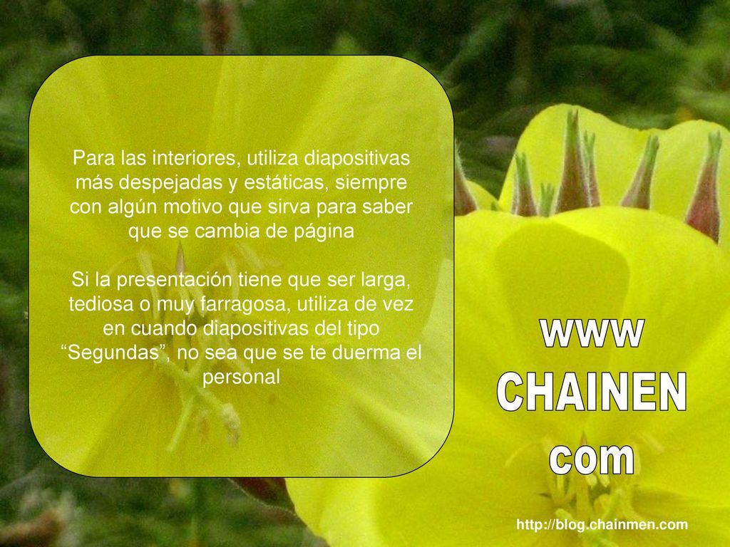Para las interiores, utiliza diapositivas más despejadas y estáticas, siempre con algún motivo que sirva para saber que se cambia de página