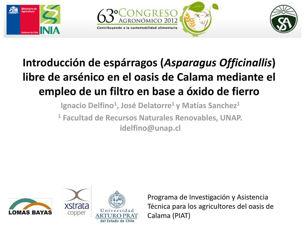 Introducción de espárragos (Asparagus Officinallis) libre de arsénico en el oasis de Calama mediante el empleo de un filtro en base a óxido de fierro