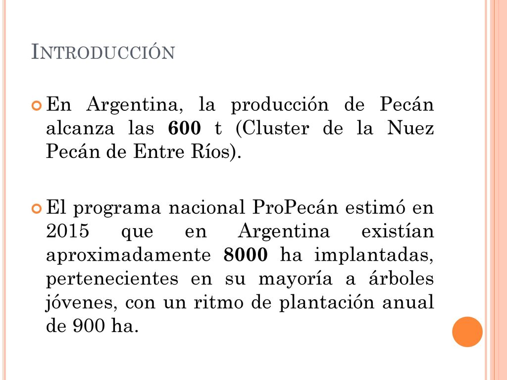 Introducción En Argentina, la producción de Pecán alcanza las 600 t (Cluster de la Nuez Pecán de Entre Ríos).