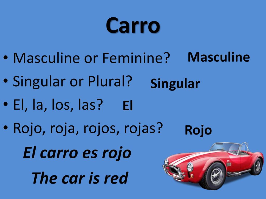Carro El carro es rojo The car is red Masculine or Feminine