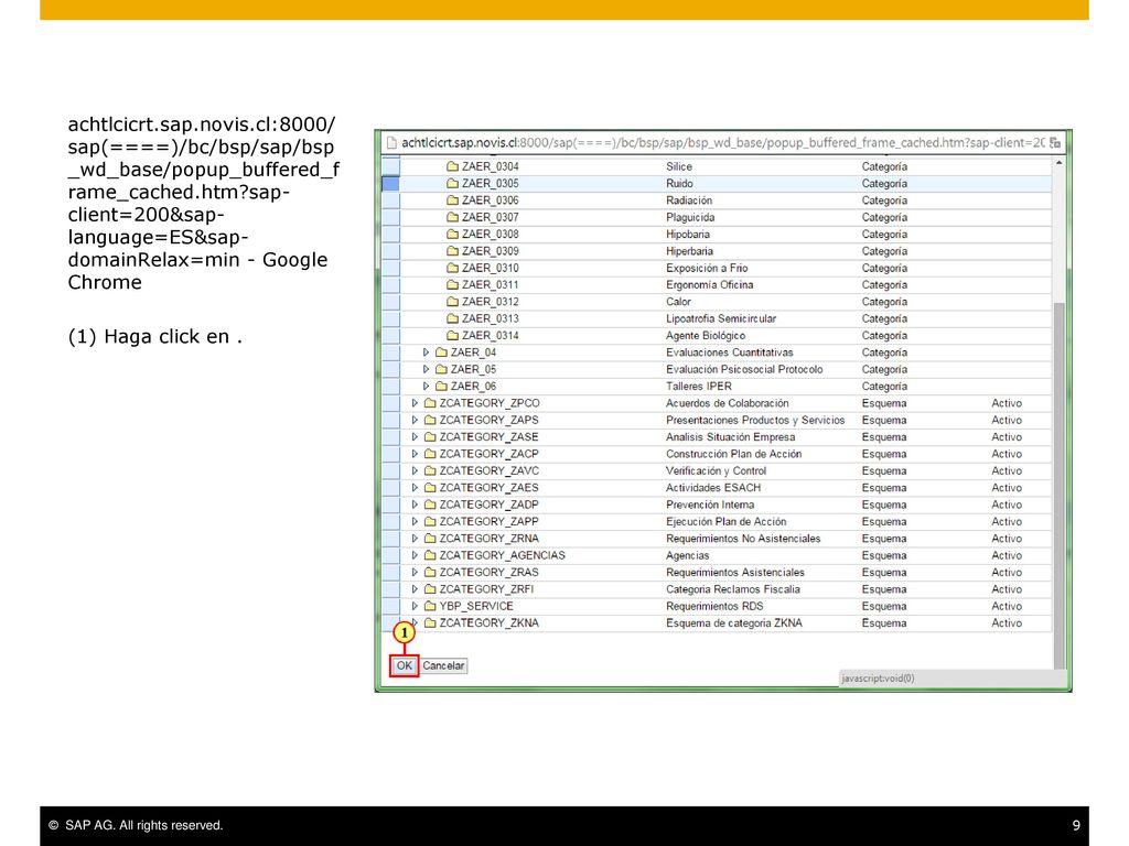 achtlcicrt.sap.novis.cl:8000/sap(====)/bc/bsp/sap/bsp_wd_base/popup_buffered_frame_cached.htm sap-client=200&sap-language=ES&sap-domainRelax=min - Google Chrome