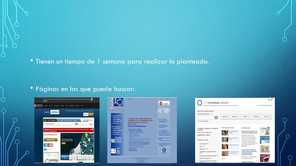Tienen un tiempo de 1 semana para realizar lo planteado.