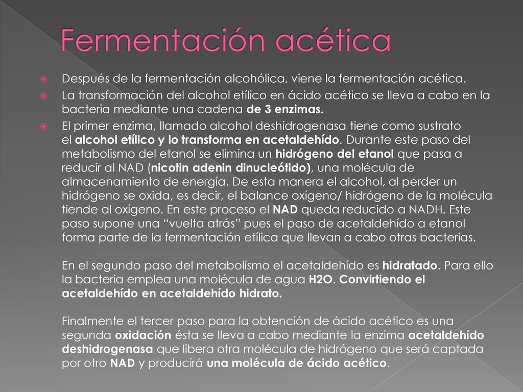 Fermentación acética Después de la fermentación alcohólica, viene la fermentación acética.
