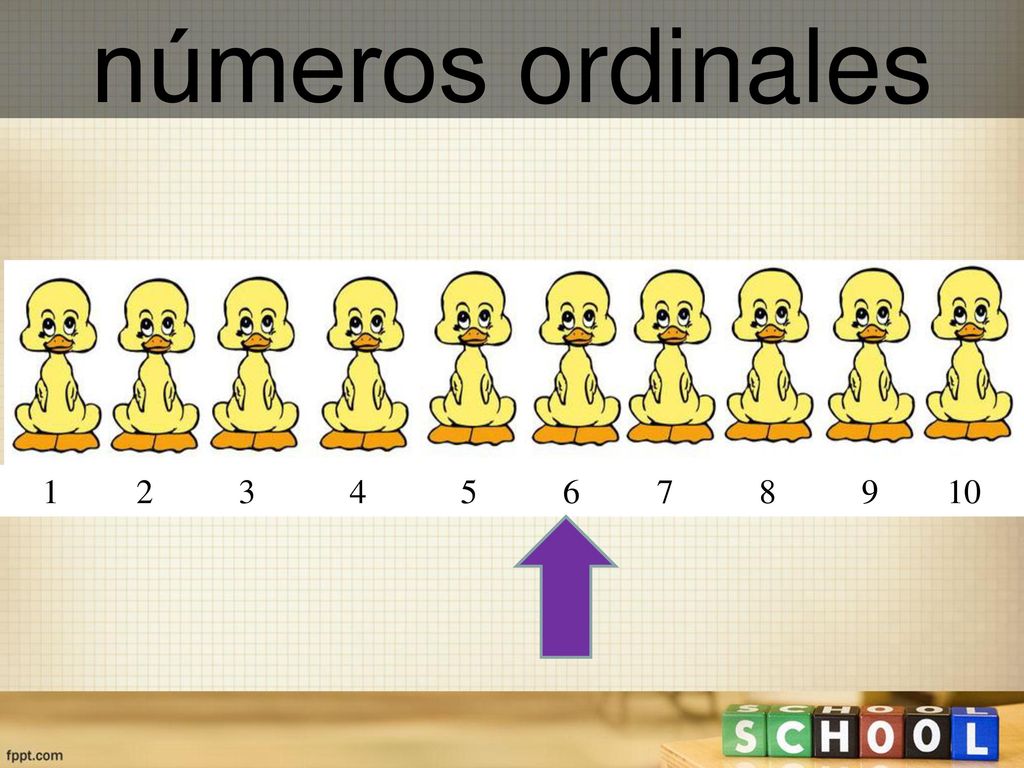 números ordinales.