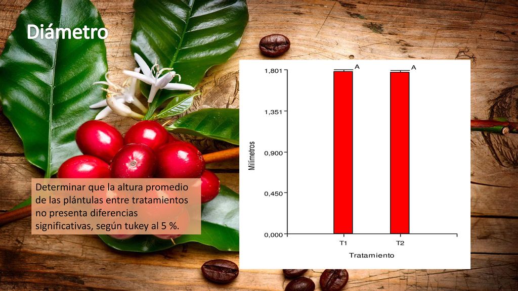 Diámetro Determinar que la altura promedio de las plántulas entre tratamientos no presenta diferencias significativas, según tukey al 5 %.