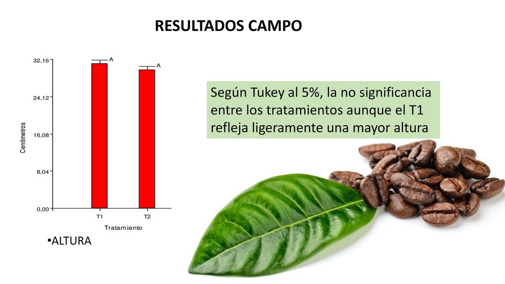 RESULTADOS CAMPO Según Tukey al 5%, la no significancia entre los tratamientos aunque el T1 refleja ligeramente una mayor altura.