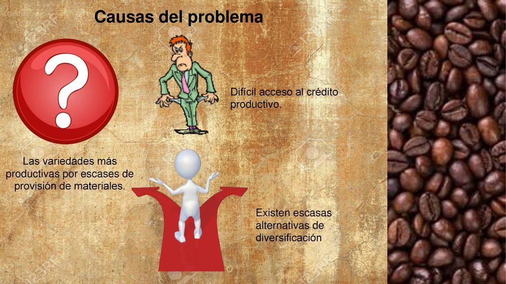 Las variedades más productivas por escases de provisión de materiales.