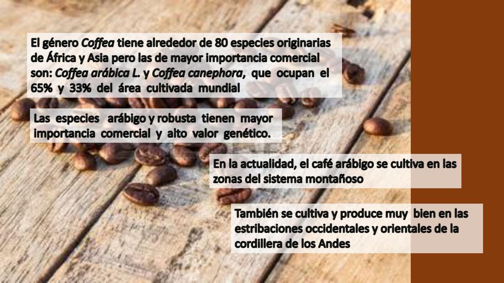 El género Coffea tiene alrededor de 80 especies originarias de África y Asia pero las de mayor importancia comercial son: Coffea arábica L. y Coffea canephora, que ocupan el 65% y 33% del área cultivada mundial