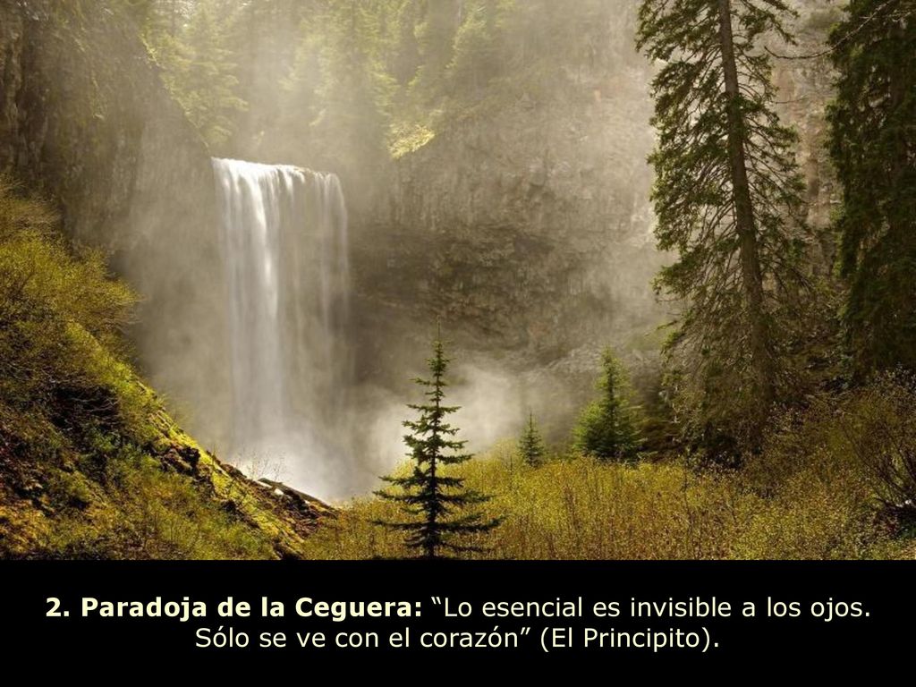 2. Paradoja de la Ceguera: Lo esencial es invisible a los ojos
