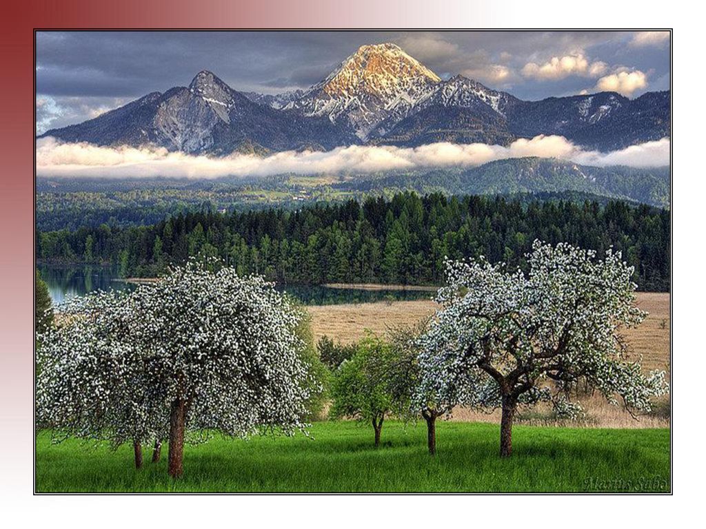 Pero Jesús, que amaba los campos verdosos y los floridos prados…