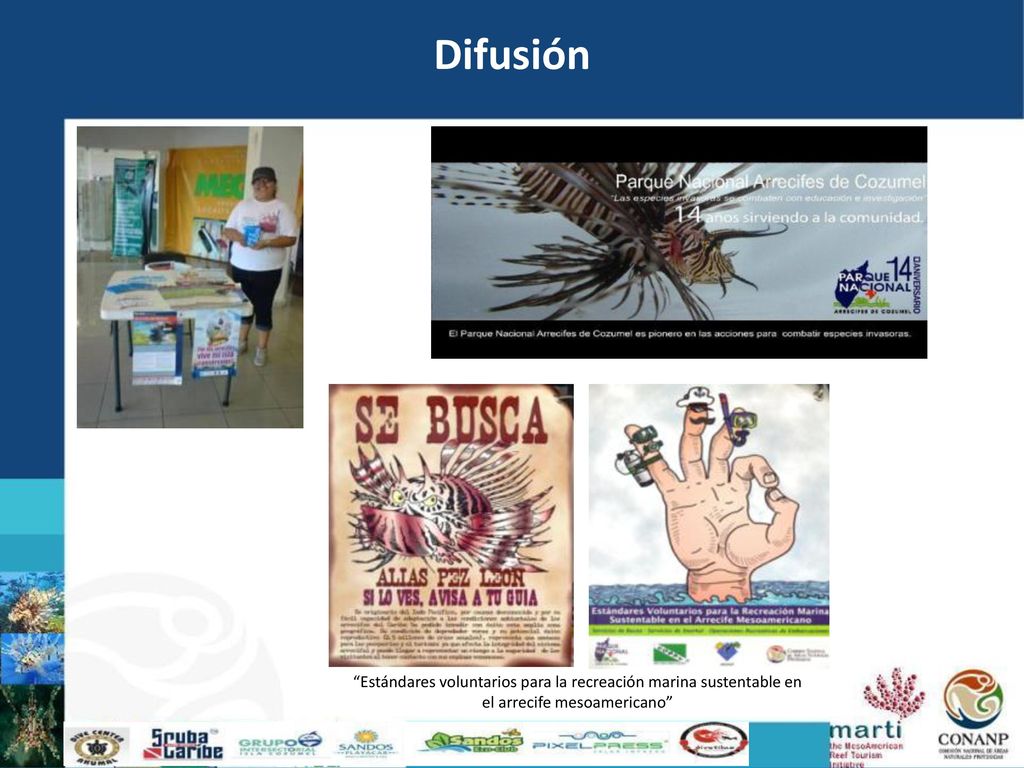 Difusión Estándares voluntarios para la recreación marina sustentable en el arrecife mesoamericano