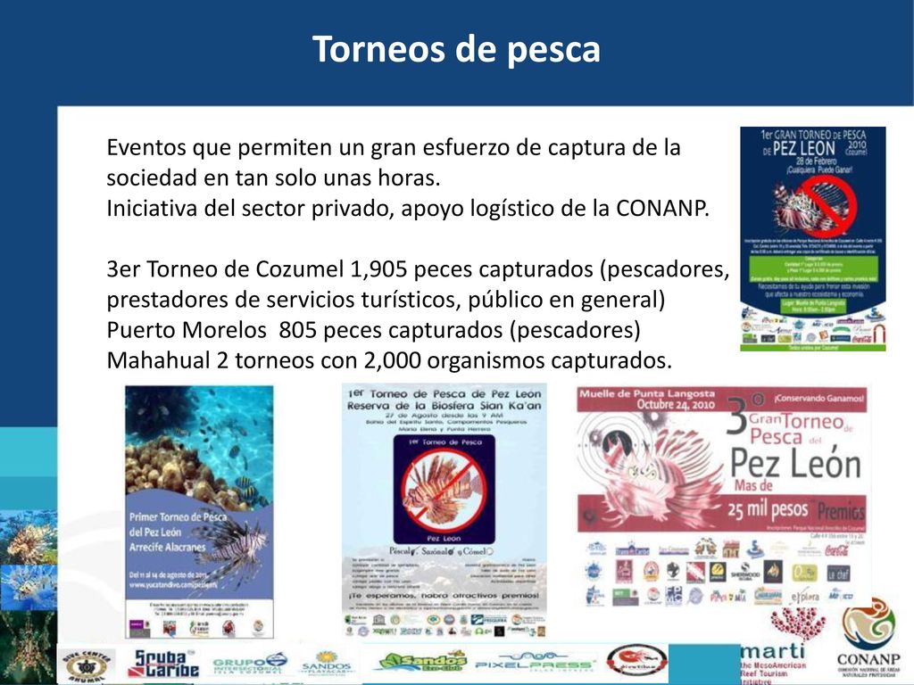 Torneos de pesca Eventos que permiten un gran esfuerzo de captura de la sociedad en tan solo unas horas.